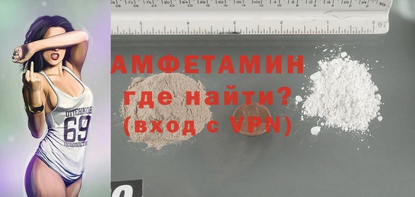 мет Алексин