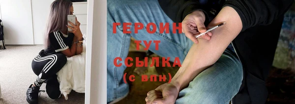 мет Алексин
