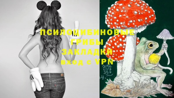 тгк Алексеевка