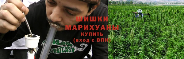 ГАЛЛЮЦИНОГЕННЫЕ ГРИБЫ Алзамай