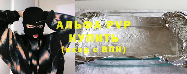 мет Алексин