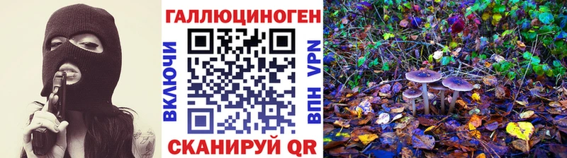 Галлюциногенные грибы мицелий  где продают наркотики  Хадыженск 